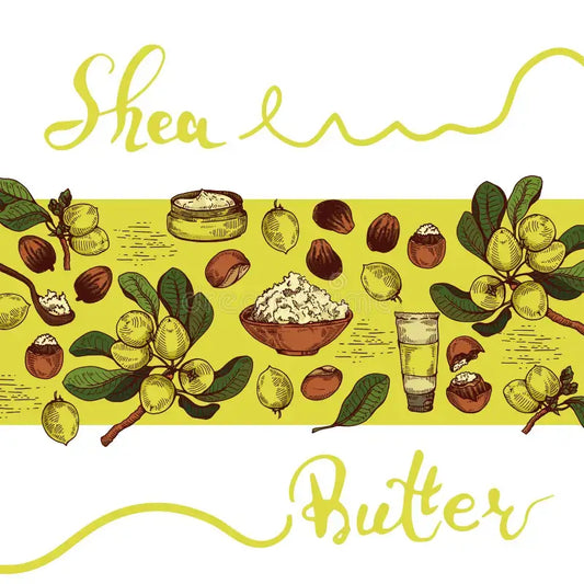 Traditional shea butter making with African women and natural ingredients