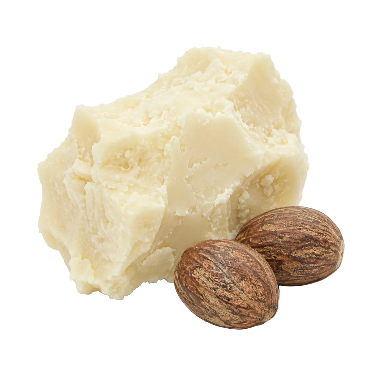 A large irregular block of creamy off-white wax or balm with two browned nutmegs in front, photographed on a clean white background.